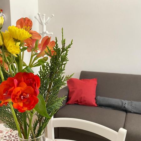 Donna Filomena Leilighet Monopoli Eksteriør bilde